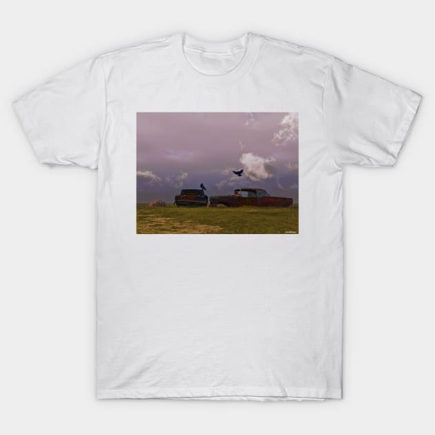 Crows & Cars T-Shirt by kenmo